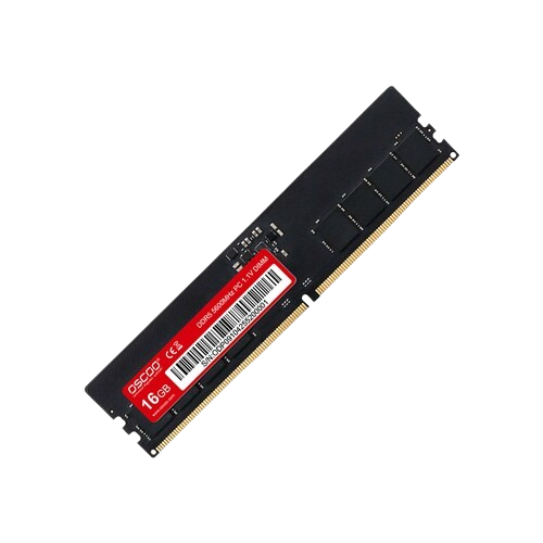 OSCOO DDR5-5600 CL46 아스크텍
