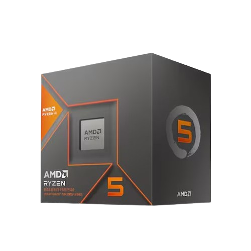 AMD 라이젠5-5세대 8600G (피닉스) (정품)